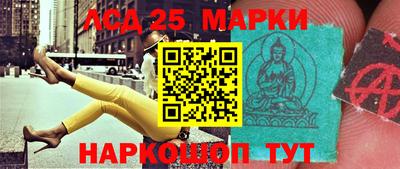 крисы Можга