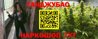 крисы Можга