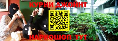 крисы Можга