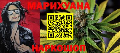 крисы Можга