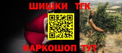 крисы Можга