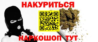 крисы Можга