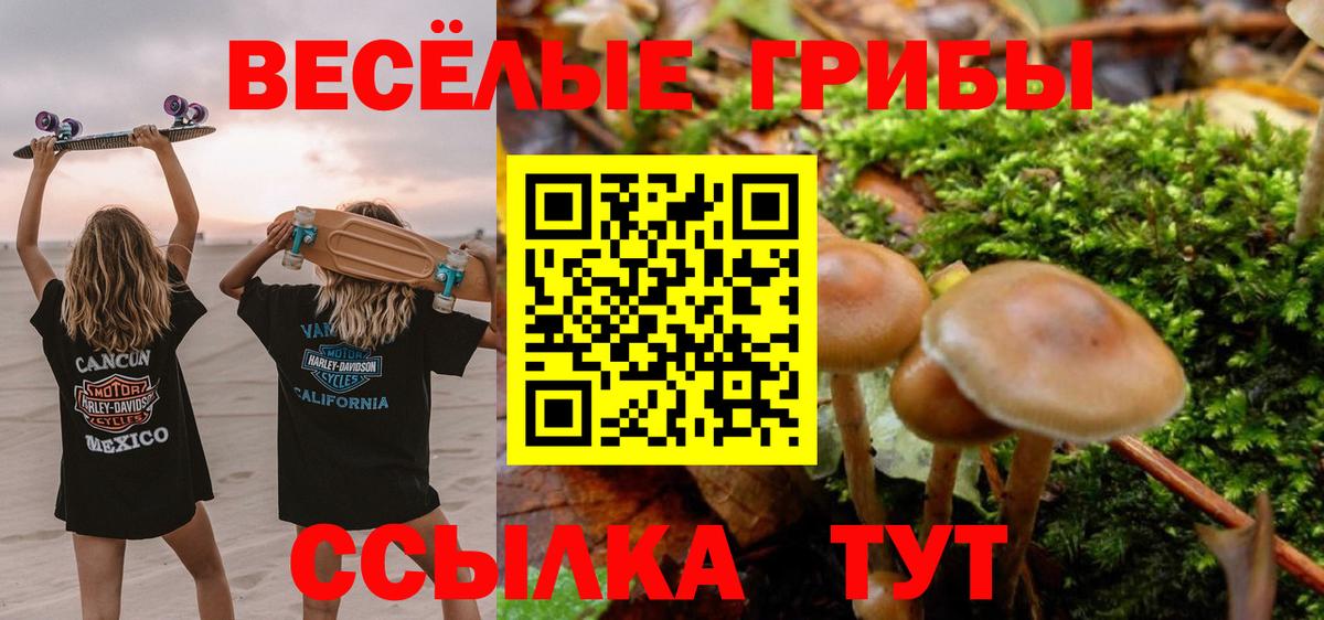 Псилоцибиновые грибы MAGIC MUSHROOMS Чита